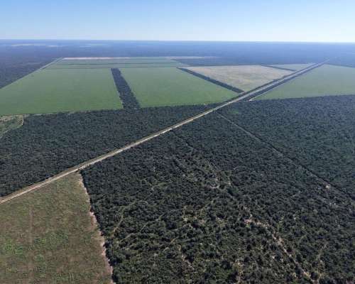Las Tinajas, Moreno, Santiago del Estero - 2.123 Ha