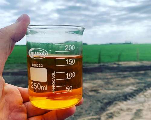 Planta de Biodiesel Economia Circular