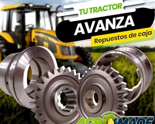 Árbol Interm. Inferior Pauny-zanello