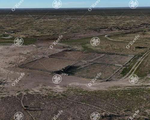 Campo en Venta 10000 Has en Patagones. Mixto
