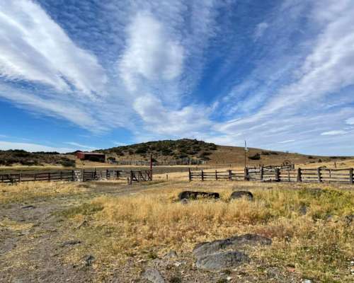 Estancia 26.000 Ha Santa Cruz Zona Perito Moreno