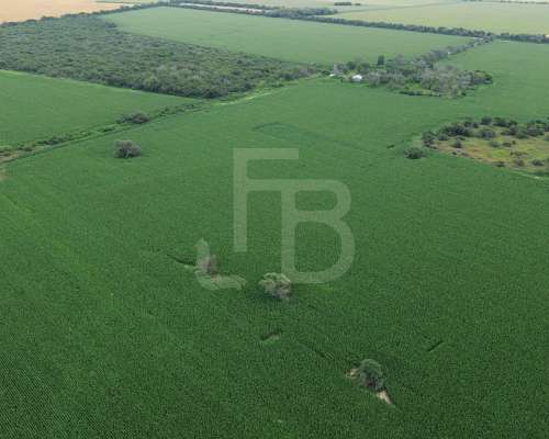 Campo Agrícola en Rafael García, Córdoba