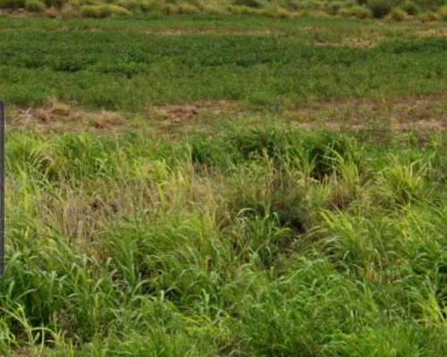 Terrible Oportunidad en Quimili Arriendo Campo