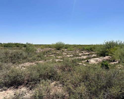 Finca Campo de 22ha en Jocolí, Mendoza.