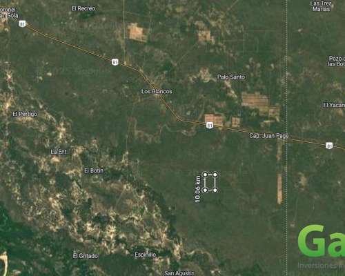 Finca en Venta 600 Has. CAP Page, Rivadavia, Salta