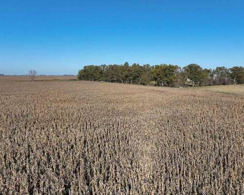 Pcia. de Buenos Aires - Gorch 860 Ha