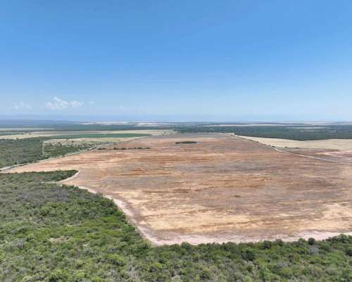 Pcia. de Catamarca - Bañado de Ovanta 437 Has