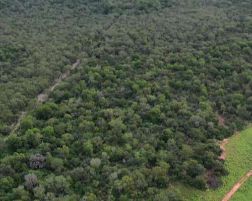 Chaco Castelli 750 Has Ganaderas Dolar Oficial