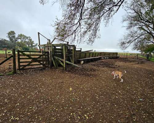 Alquiler Campo Cria 72 Kg/ha