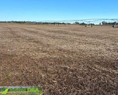 Campos en Venta en el Sudeste de la Provincia de Buenos Aire