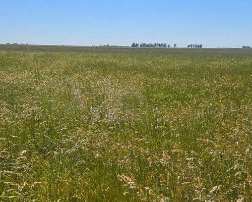 165 Ha Teniente Origone, Buenos Aires