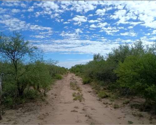 Vendo /permuto Campo en San Luis