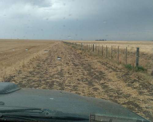 Vendo Campo Partido Tornquist