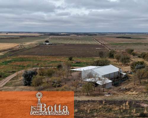 Campo Alfalfero en Venta — 1.220 Has Batavia, San Luis