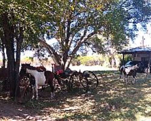 Recibo Hacienda en Capitalización