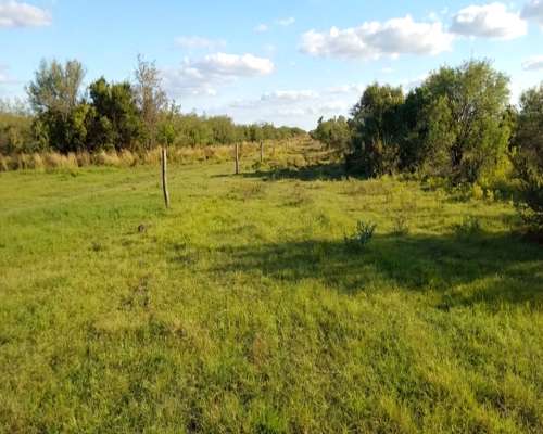 Campo en Venta de 3945 Has San Luis. Mixto