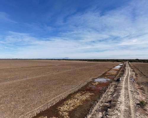 Aguará Grande, San Cristobal, Santa FE - 7.827 Ha