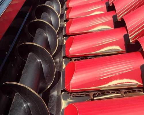 Maicero Franco Fabril. año 2024. 14 a 52 cm