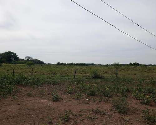 Campo Agrícola 12 Has a 5 km de Sáenz Peña Chaco
