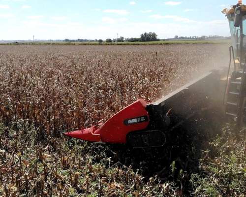 Cabezal Maicero cm 2020 de 16 Surc a 52 con Embocador, con P