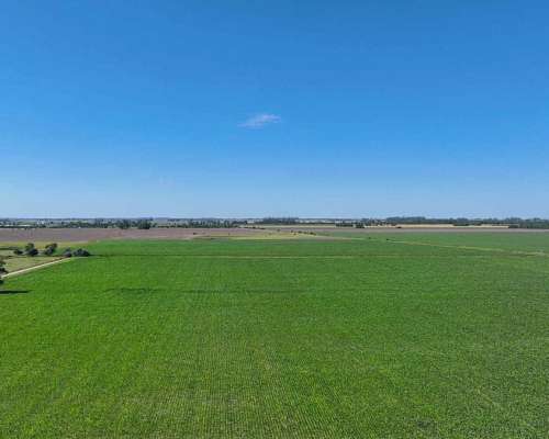 Pcia. de Santa FE - Perez 265 Has