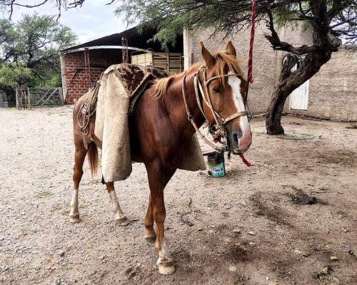 Campo Ganadero 1.778 HA. Cruz del Eje, Córdoba