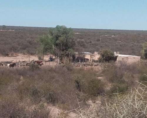 1110 Has en las Catitas, Mendoza