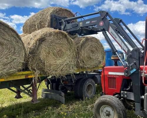 Massey Ferguson 292, con Pala Omar Martin