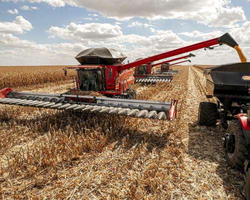 Cosechadoras Case Axial Flow Serie 250