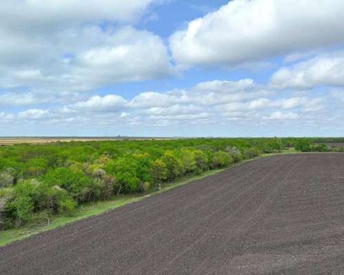 Pcia. de Entre Rios - Maria Grande 526 Has