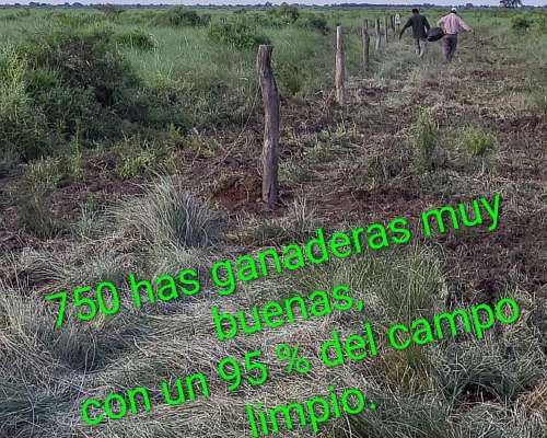 Gran Oportunidad de Inversión