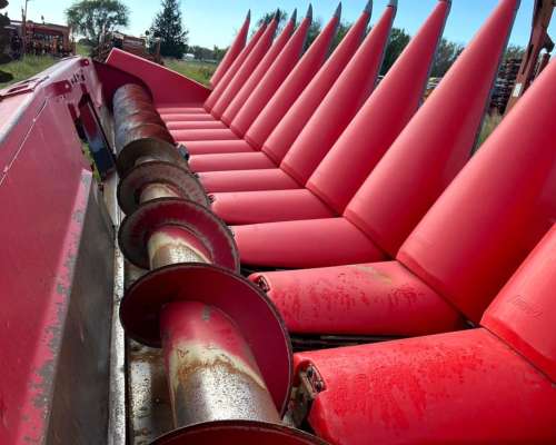 Maicero Ombu 2020 13 a 52. Excelente Estado Engomado con LUC