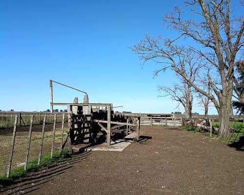 608 HA, Mixto, Azul