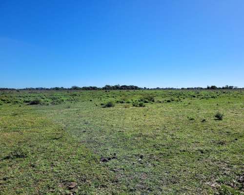 Venta de 310 Has en San Lorenzo - Saladas - Corrientes