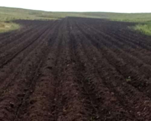 Vendo Campo en la Carolina,san Luis