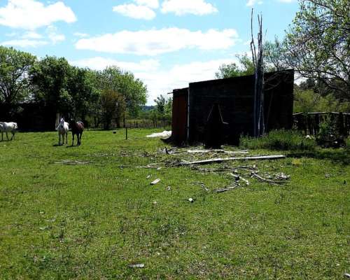 Campo Mixto en Concordia