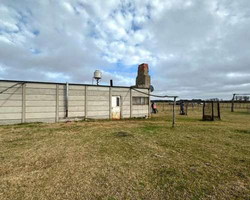 Lote Quinta Oportunidad Villa Maza (adolfo Alsina) Ruta 14