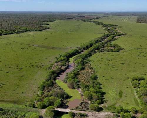 La Sarita, General Obligado, Santa FE - 11.209 Ha