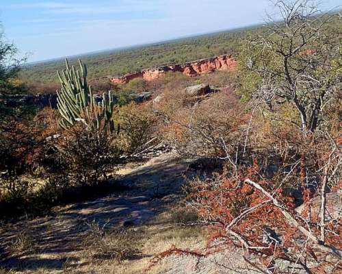 Chamical 8.500 Has Ganaderas