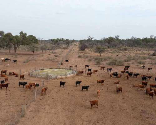 Pcia. de Santiago del Estero - el Cabure 1675 Has