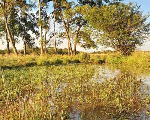 Chacra en Guaviravi Provincia de Corrientes