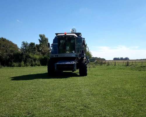 Vendo o Permuto Cosechadora Bernardin M2160