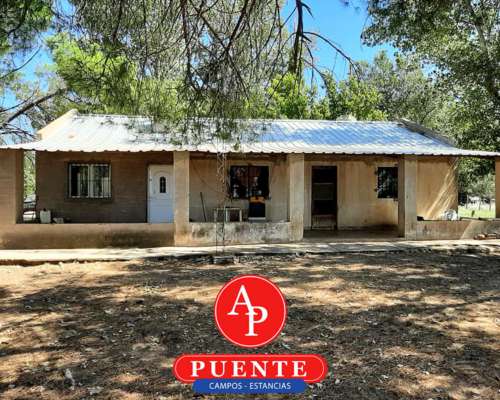 En Venta 5.000 Has Jaguel del Monte, la Pampa