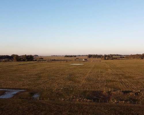 Campo en Venta en Punta Indio - 93 Hectáreas Sobre Ruta