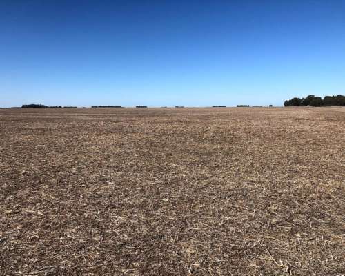 118 Has. Tres Arroyos - Agricola