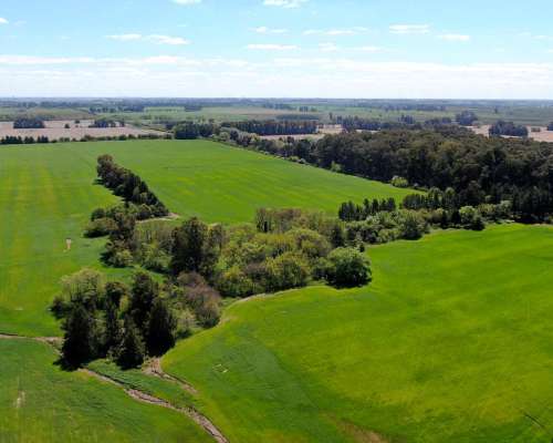 74 Has en Campana, BS. AS. - Agrícola/desarrollo - Venta