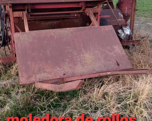 Moledora de Rollos Ferrucci