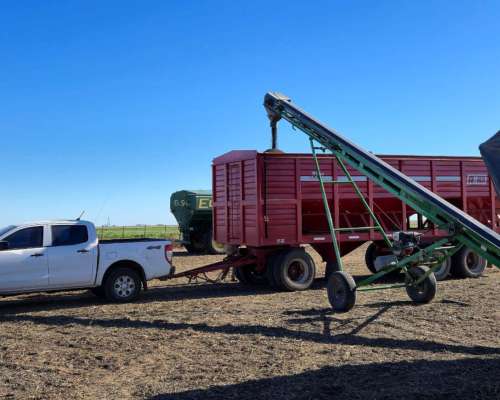 Noria Transportadora 10mts X 30cm a Explosión Manescotto