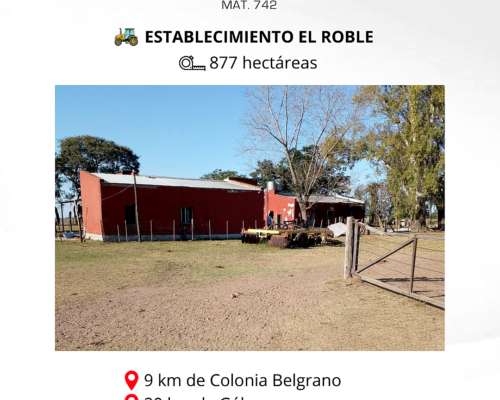 Establecimiento el Roble - Santa FE