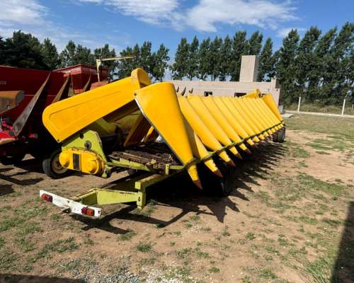 Maicero Allochis de 14 a 52